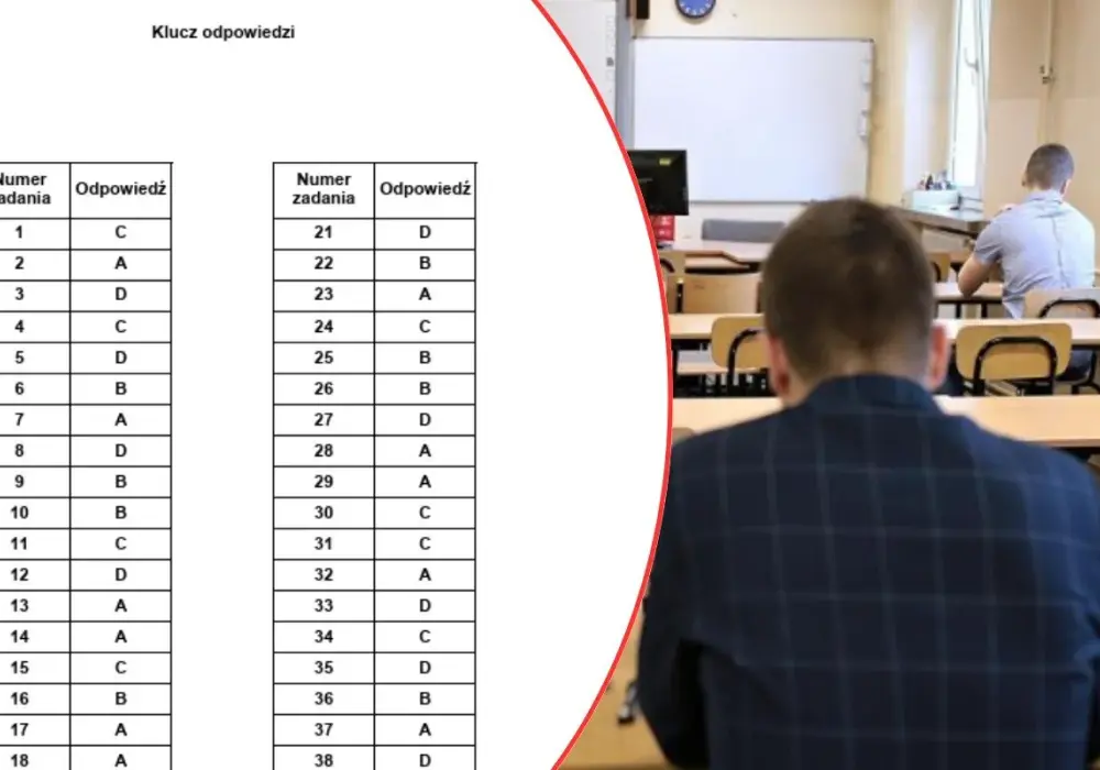 Egzamin zawodowy: Struktura, zdawalność i jak zdać?