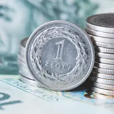 Monety i banknoty polskie, zbliżenie na monetę 1 złoty.