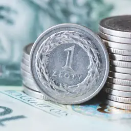 Monety i banknoty polskie, zbliżenie na monetę 1 złoty.
