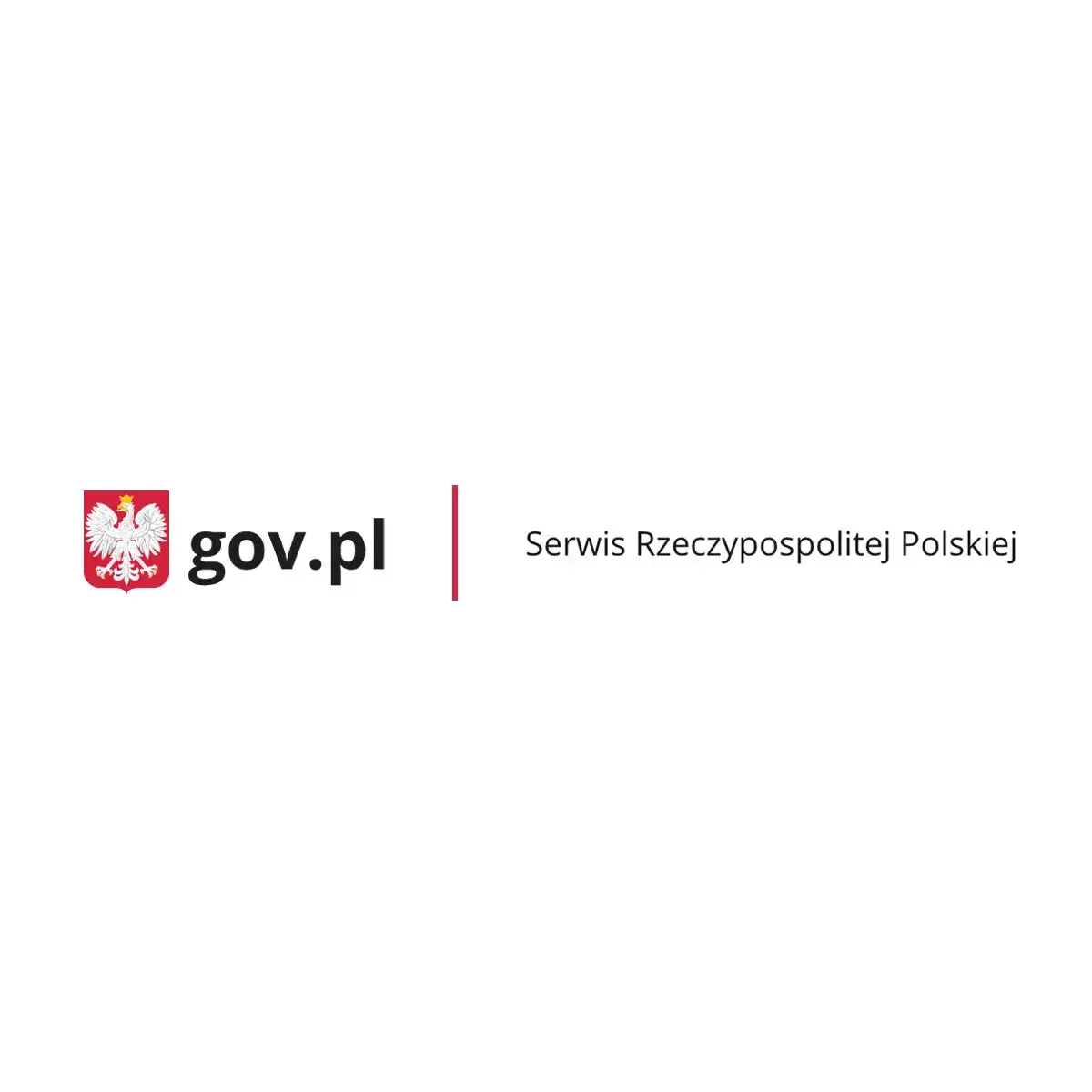 Zdjęcie Jakie dokumenty są niezbędne do profilu kierowcy zawodowego?