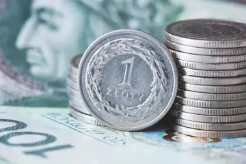 Monety i banknoty polskie, zbliżenie na monetę 1 złoty.